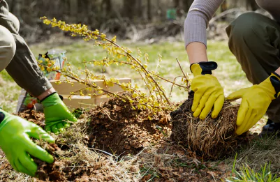 progettazione arre verdi roma