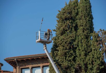 potatura alberi e siepi -roma verde giardinaggio